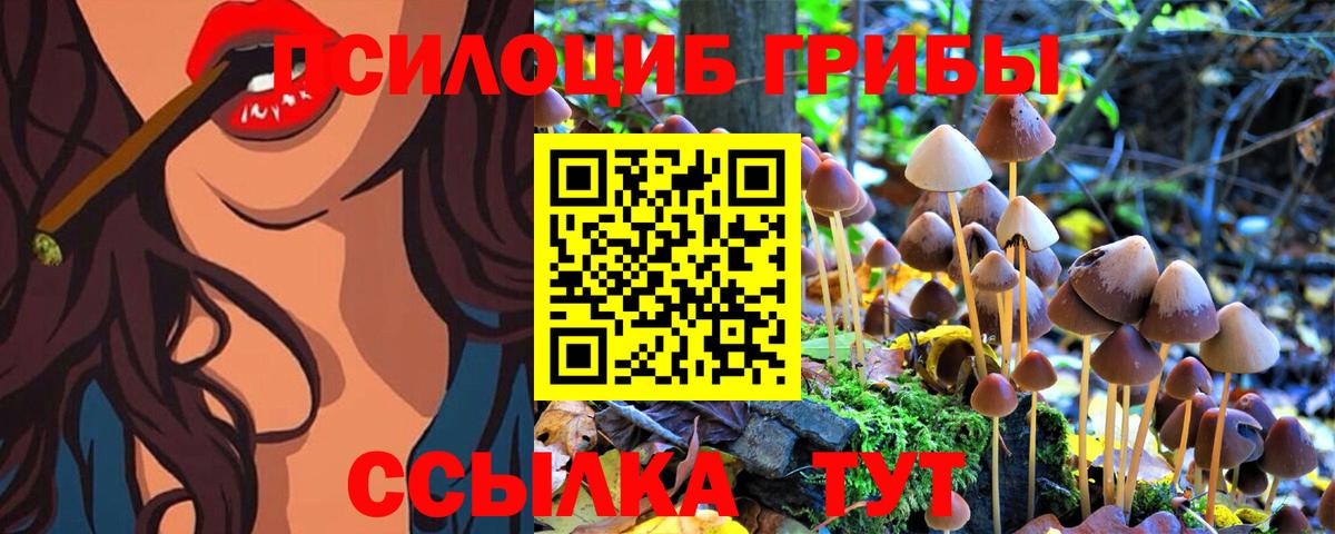 Псилоцибиновые грибы Psilocybe  закладка  Ноябрьск  Вход с VPN  Псилоцибиновые грибы GOLDEN TEACHER 